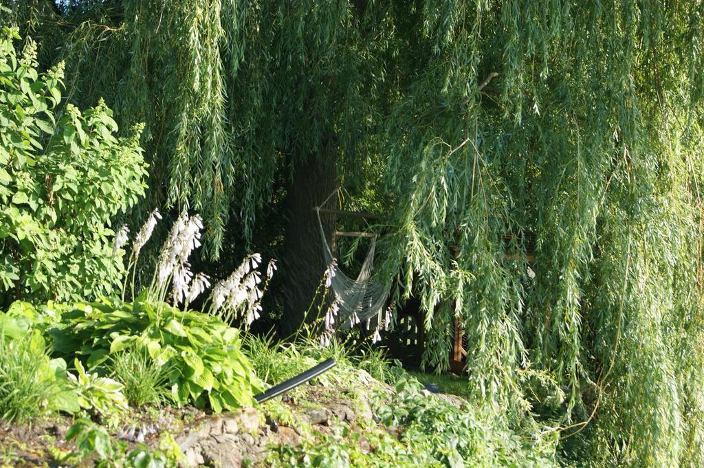 La Belle Aux Berges Bed & Breakfast Saint-Denis-sur-Richelieu Exterior foto